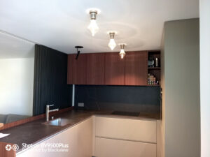 wp-1606544733843