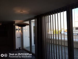 wp-1606544733997